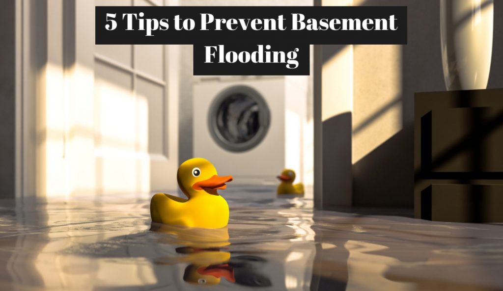 Prevent Basement Flooding Ppd Restorations